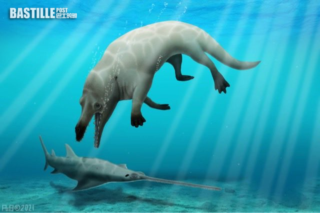 4300萬年前「四腳鯨魚」化石埃及出土| 事事如意生活網站