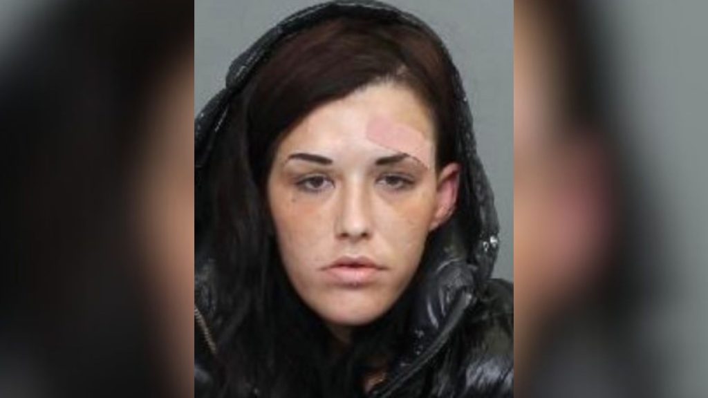 多倫多女子夜總會外槍擊男子  潛逃兩個月終落網
