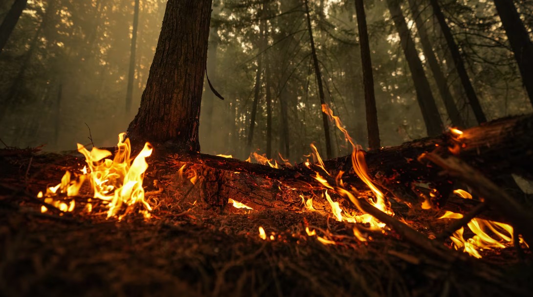 2025年加拿大天氣  會變得更熱嗎?