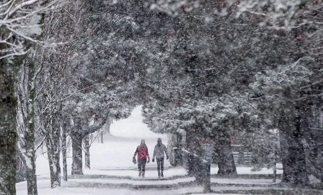 【15厘米降雪】安省今日陣雪 周末最低-21度