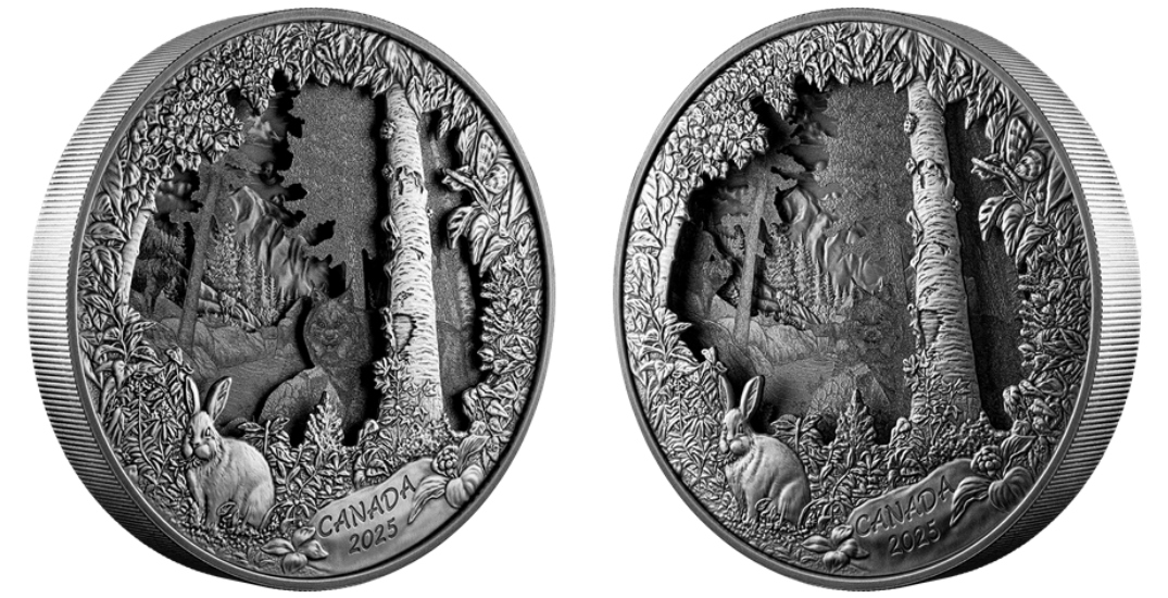 【有片|四重雕塑銀幣】3D雕刻叢林捕獵銀幣 售近3000元全國僅750枚