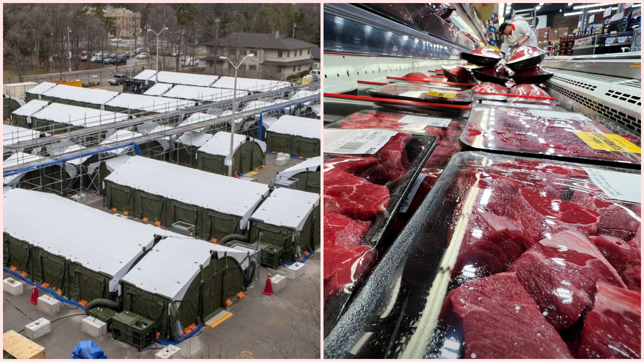 【5/10頭條】聯邦欲出售疫期2億買下的流動醫院|牛肉價格漲逾一成續漲 華人愛吃的豬肉卻在降價