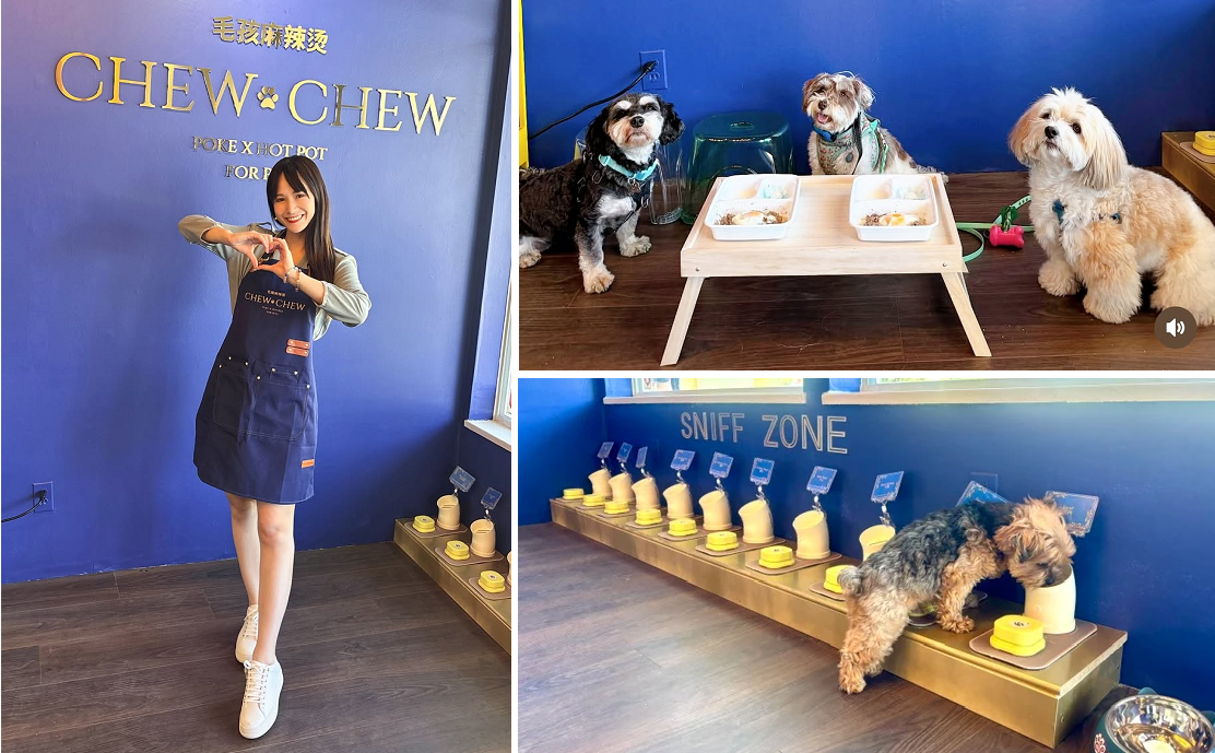 溫哥華女藝人北美首創寵物自助火鍋店  愛犬食乜自己揀!