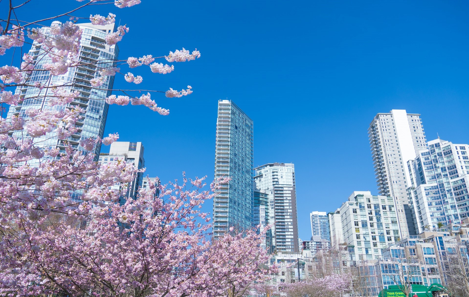 氣象學家預測溫哥華今春將較溫暖和少雨 | 多倫多 | 加拿大中文新聞網 - 加拿大星島日報 Canada Chinese News